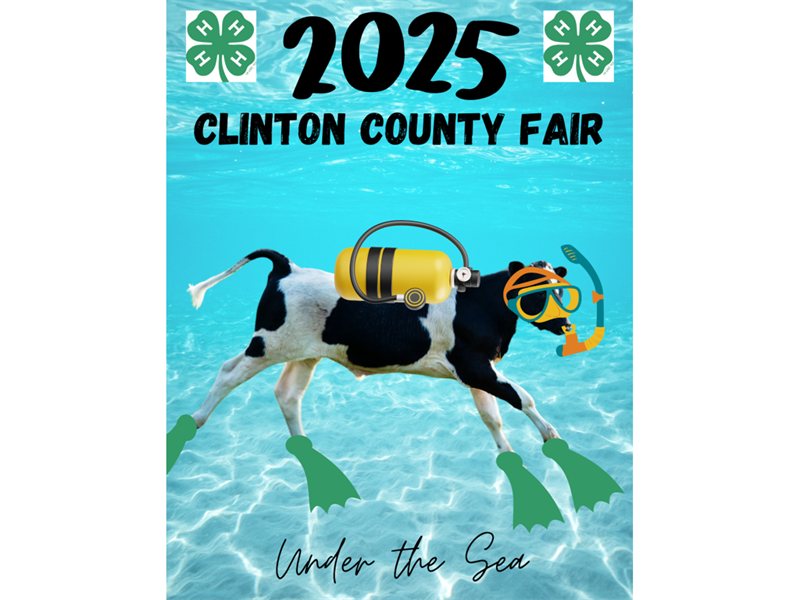 Fair Logo